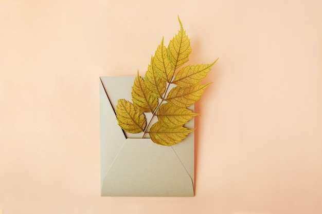 Photography from above of craft envelope with dry leaf in itAutumn concept