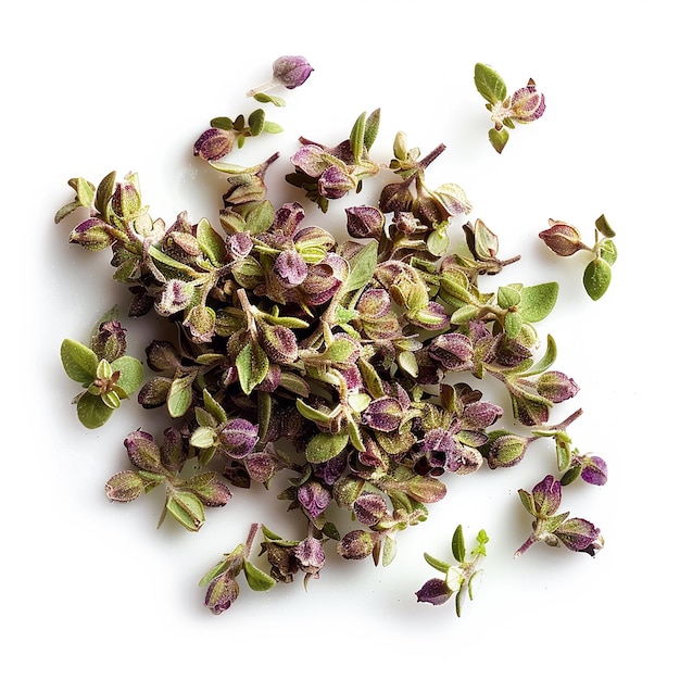 photography of Marjoram spice on white background