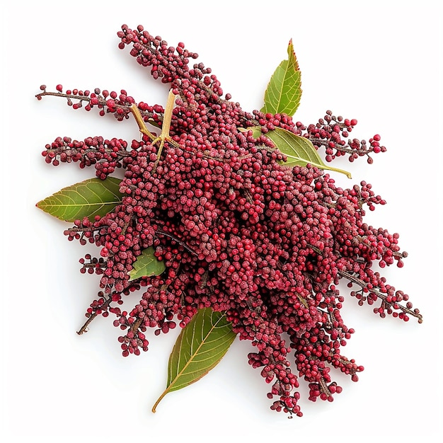 Photo photography of sumac spice on white background