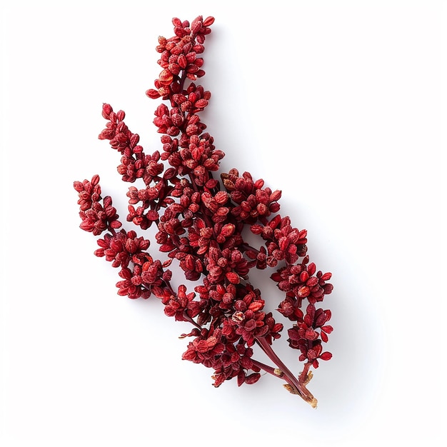 Photo photography of sumac spice on white background