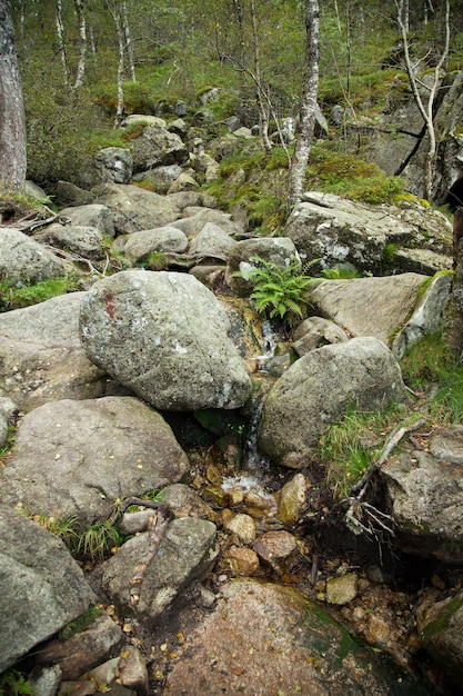 photography with landscapes and nature in norway