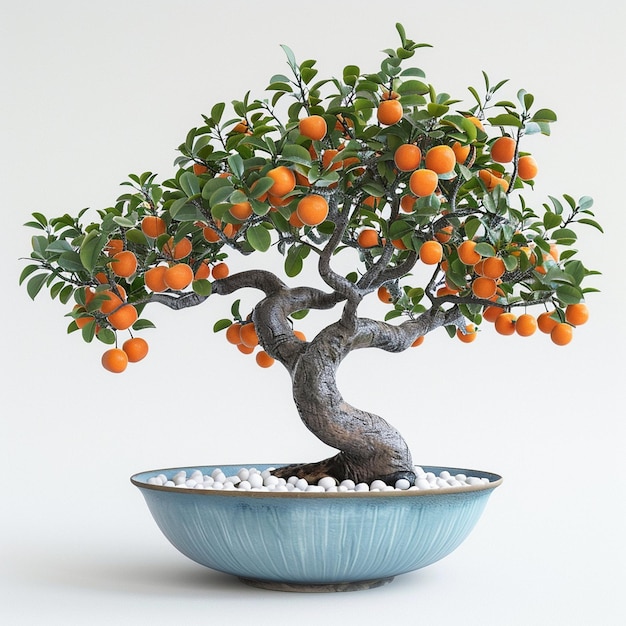 photorealistic small persimmon tree as a bonsai