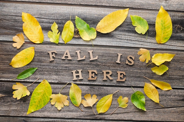 Phrase Fall is here in wooden letters Frame of yellow leaves wooden background