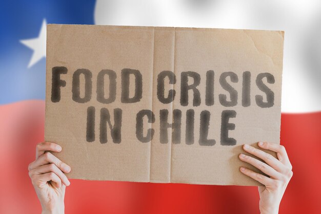 The phrase Food crisis in Chile is on a banner in men's hands with a blurred Chilean flag in the background Crisis Finance Life Nutrition Bread Disaster Collapse Social issue