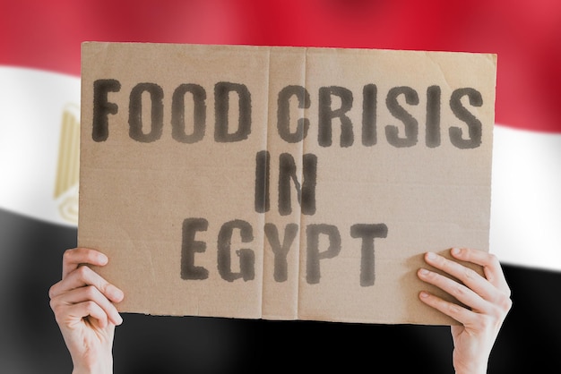 The phrase Food crisis in Egypt is on a banner in men's hands with a blurred Egyptian flag in the background Crisis Finance Life Nutrition Bread Disaster Collapse Social issue