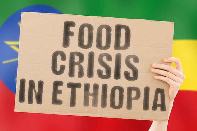 The phrase Food crisis in Ethiopia is on a banner in men's hands with a blurred Ethiopian flag in the background Crisis Finance Life Nutrition Bread Disaster Collapse Social issue Problem