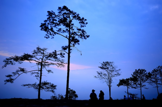 Phu Kradueng National Park