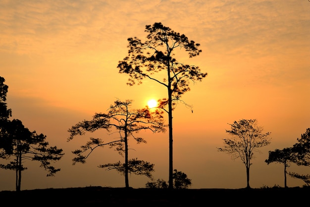 Phu Kradueng National Park