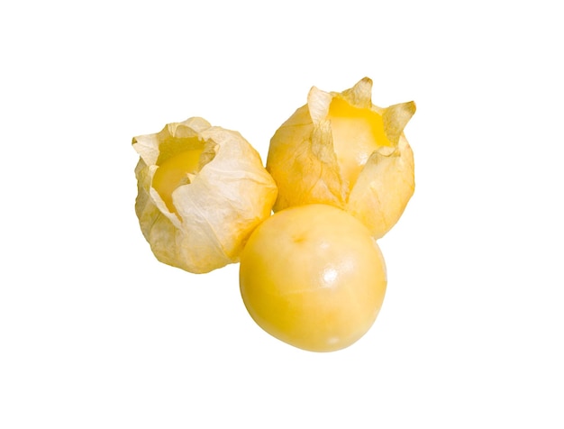 Physalis fruit isolated on white