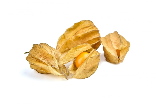 Physalis peruviana berries (ground cherries, Cape gooseberry, poha berries) isolated on a white surface