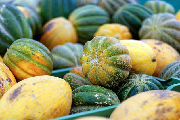 Picked melons in plastic boxes in grocery store