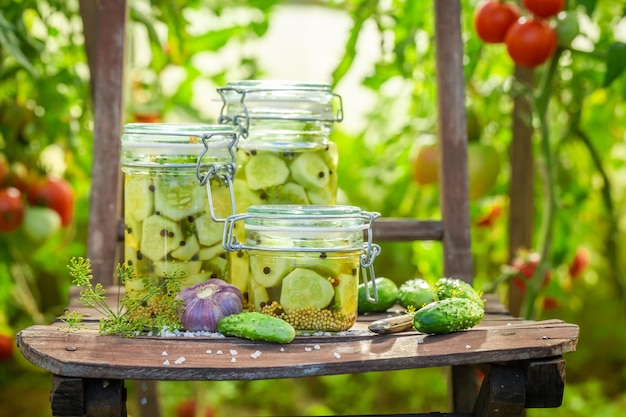 Pickled cucumbers in greenhouse with garlic and dill