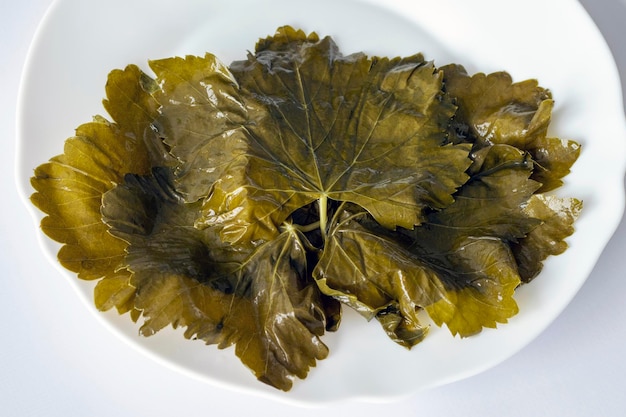 Pickled grape leaves on a white plate