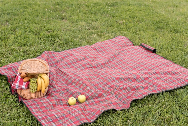 Picnic basket and blanket on park grass