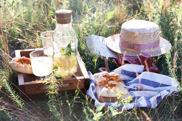 Photo picnic in a meadow