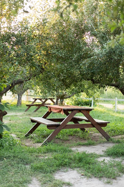 Picnic place in orchard at backyard with wooden picnic table with benches on grass lawn