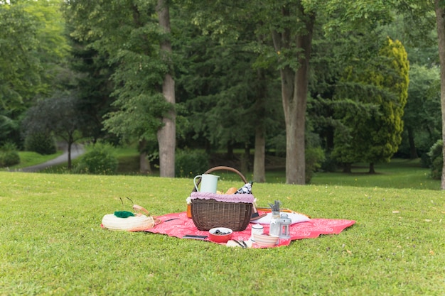 Picnic setting on blanket over green grass