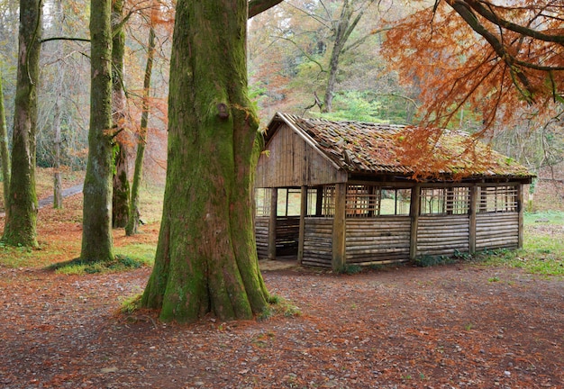 The picnic shelter in the autumn park