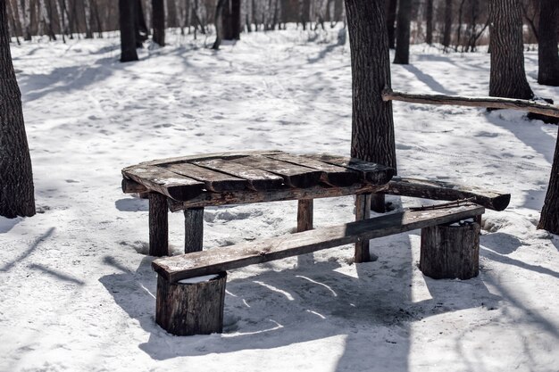 Picnic spot in woods wooden table and bench in snowy forest sunny frosty morning aftersnowfall