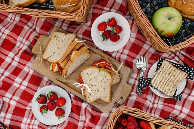 Photo picnic table with fresh fruits and sandwiches