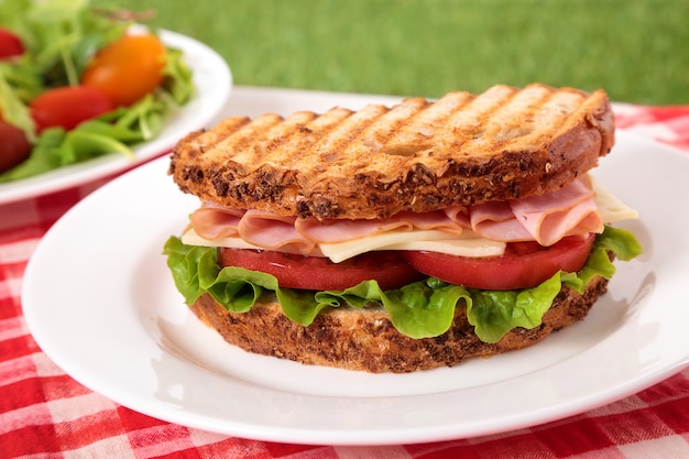 Picnic toasted ham and cheese sandwich on outdoor table