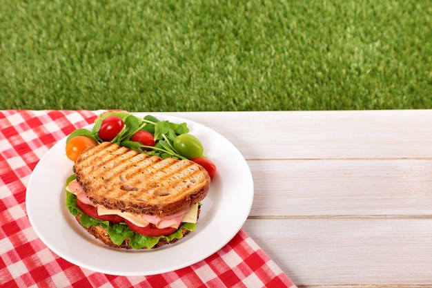 Picnic toasted ham and cheese sandwich on outdoor table