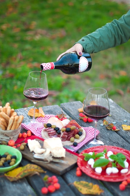 picnic with Italian food. Red wine. green glade. a romantic dinner. Parmesan. salad. salts. mazarella. Dried Sticks