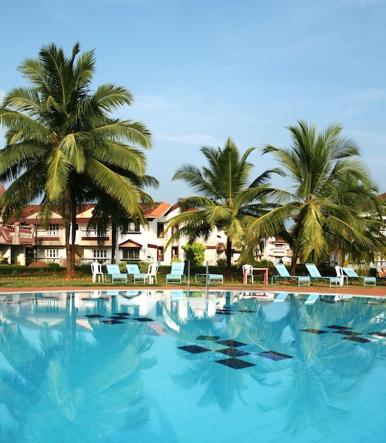 Pictire of swimming pool with blue water and coconut trees