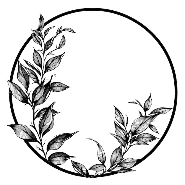 Pictogram circle frame with leaves