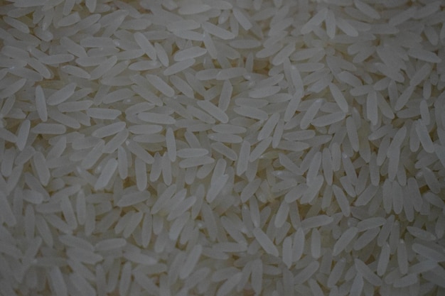 Photo a picture of rice that is white