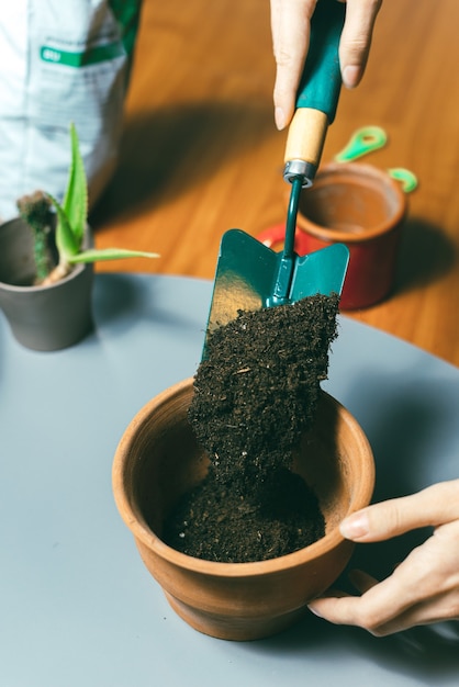 A picture of Woman putting some fresh ground in a pot home