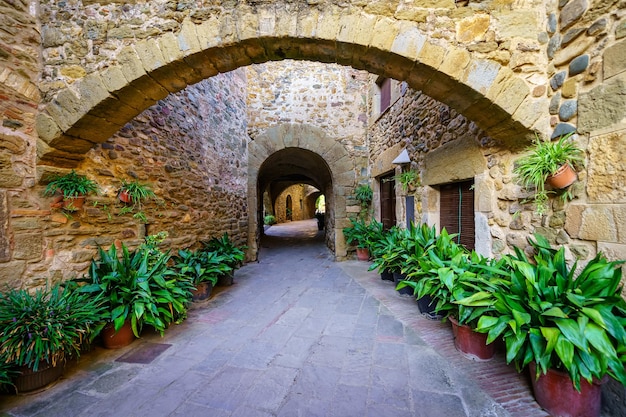 Picturesque alley with stone houses and arched passageway with green plants on the ground Monells Girona Spain