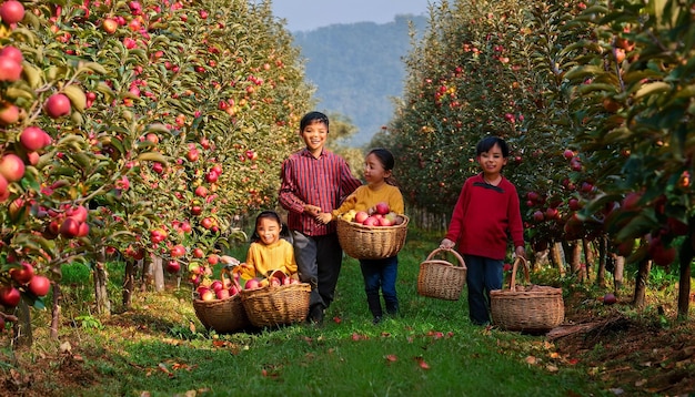 A Picturesque Apple Orchard with Families Picking Ripe Apples Amidst Rows of FruitLaden Trees