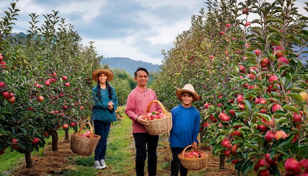 A Picturesque Apple Orchard with Families Picking Ripe Apples Amidst Rows of FruitLaden Trees