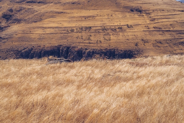 Picturesque autumn field landscape Fields and meadows in the mountains of Armenia region Stock photography