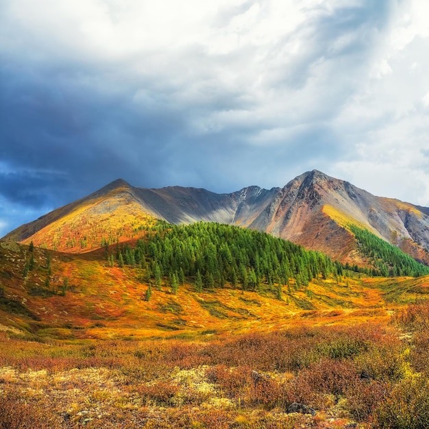 Picturesque autumn mountain plateau with a dramatic view and rays of the sun on the hillside