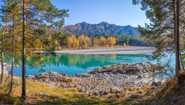 Picturesque autumn view Katun river in the Altai