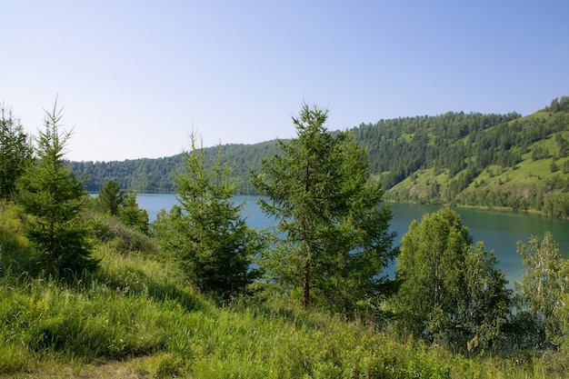 A picturesque body of water behind the trees among the green mountains Summer landscape