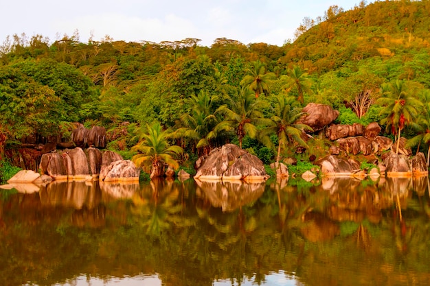 picturesque bright nature in Seychelles lake and granite stones