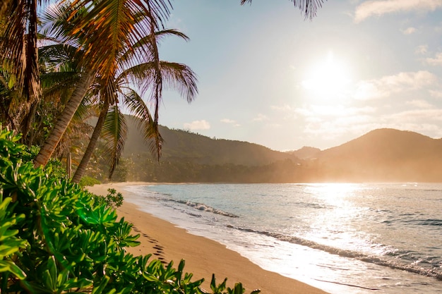 picturesque bright sunset landscape beach in Seychelles natural background