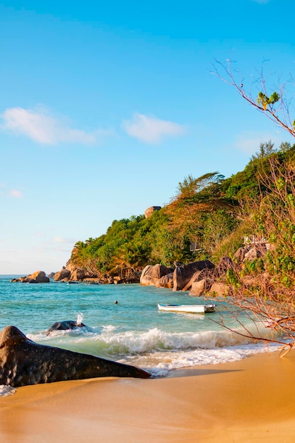 picturesque bright sunset landscape beach in Seychelles nature vertical background