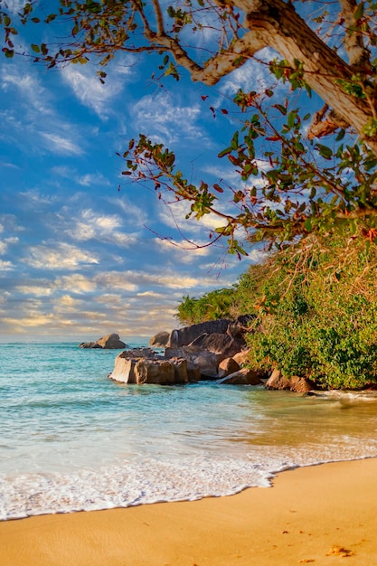 picturesque bright sunset landscape beach in Seychelles nature vertical background