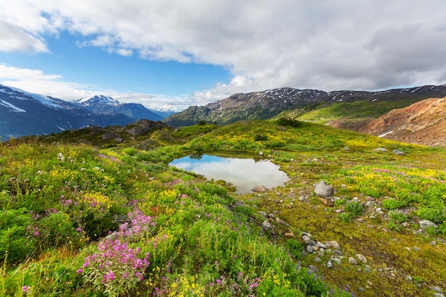 Picturesque Canadian mountains in summer