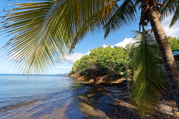 The picturesque Caribbean beach Martinique island French West Indies