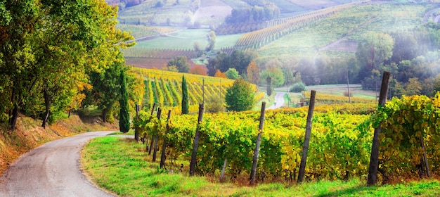 Picturesque countryside and beautiful vineyards of Piemonte in autumn colors. Italy