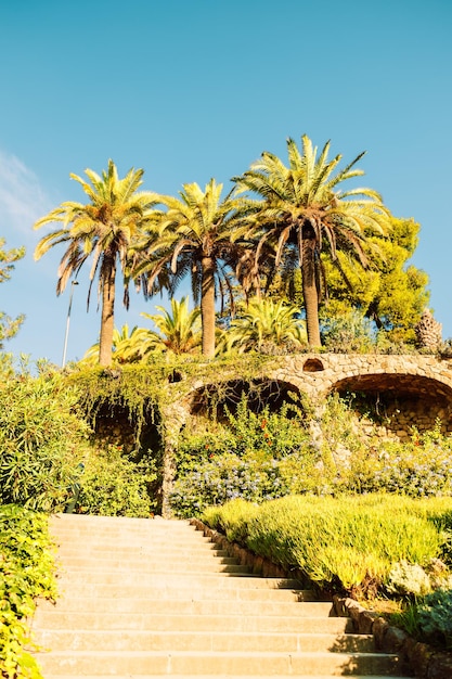 Picturesque garden an alley among the gardens of the Guell Park Barcelona Spain