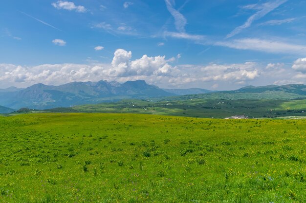 Picturesque green meadow in the north of Montenegro in the National Park Durmitor