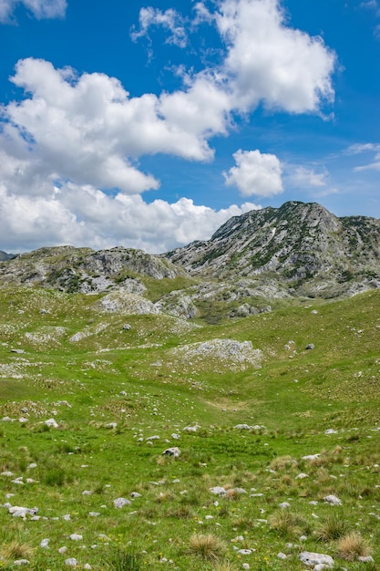 Picturesque high mountains in the north of Montenegro in the National Park Durmitor