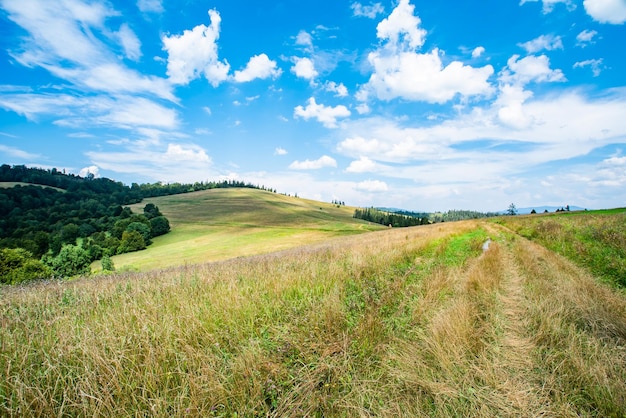 Picturesque hills view of idyllic hills with blooming meadows on the hill against the background of mountain peaks with coniferous forests on a beautiful sunny day with blue sky and clouds