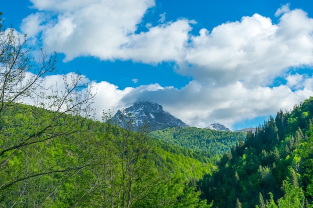 Picturesque Komovi Mountains are located in the east of Montenegro